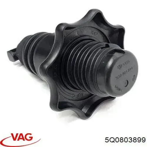 Болт 5Q0803899 VAG