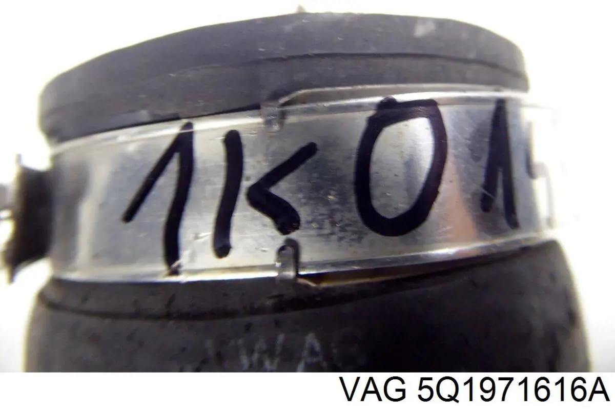 Электропроводка моторного тсека VAG 5Q1971616A