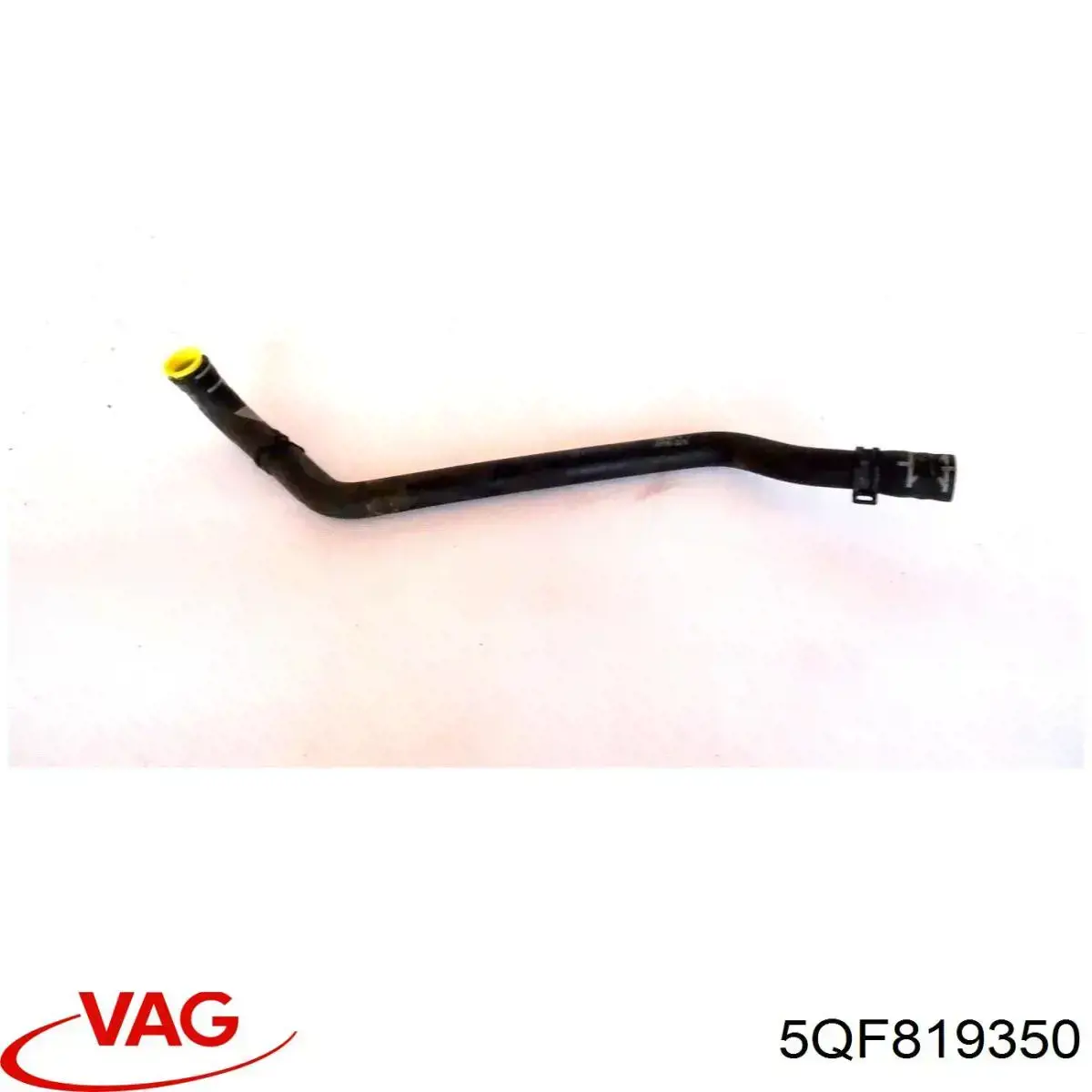 5QF819350 VAG 