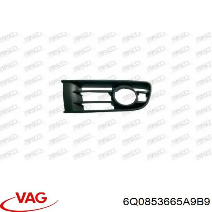 Купить 6Q0853665A9B9 VAG Противотуманная фара - вставка левая