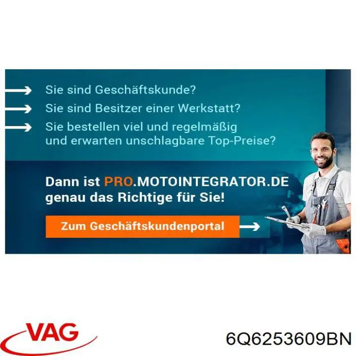 6Q6253609BN VAG Выхлопная труба