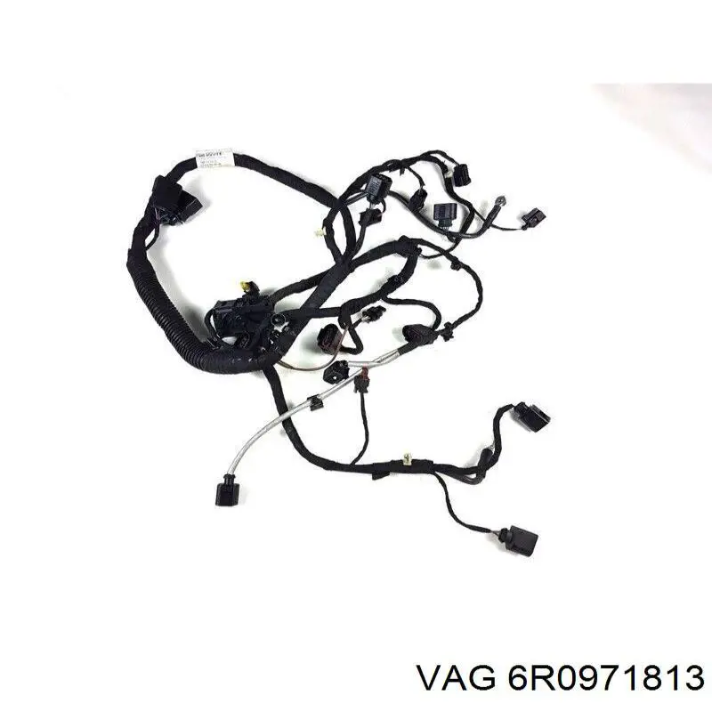 6R0971813 VAG 