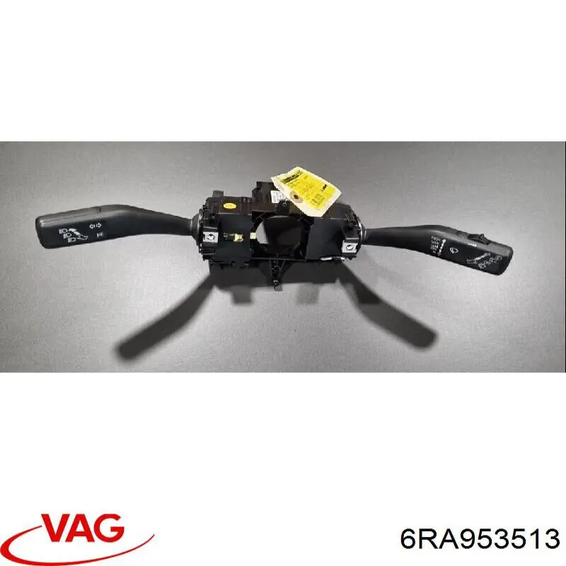 6RA953513 VAG 