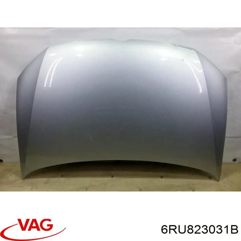 6RU823031B VAG capota