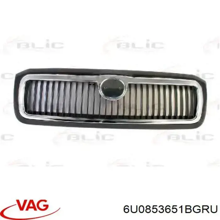 Облицовка радиатора VAG 6U0853651BGRU цена, от 41.94 USD