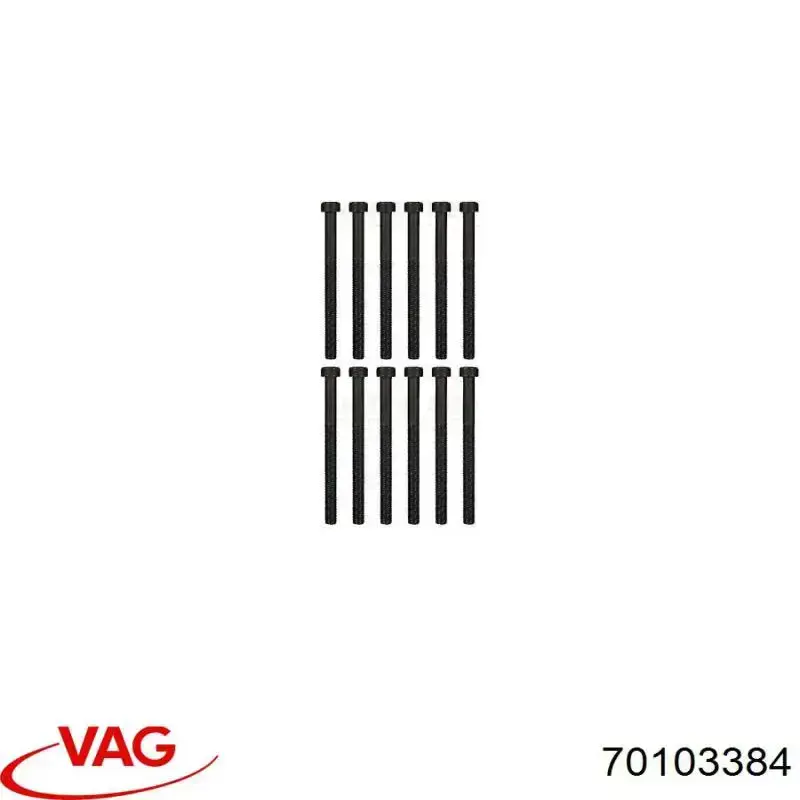 Болт головки блока цилиндров (ГБЦ) VAG 70103384