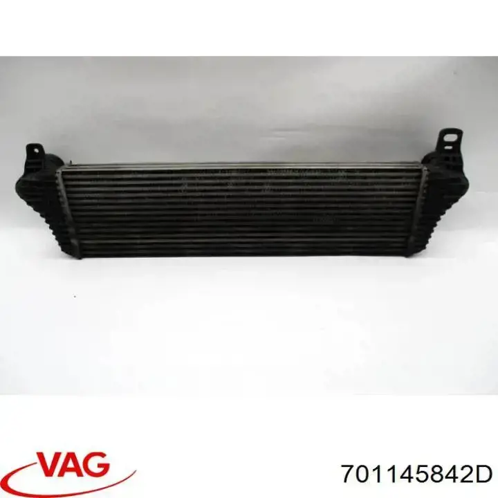 701145842D VAG 