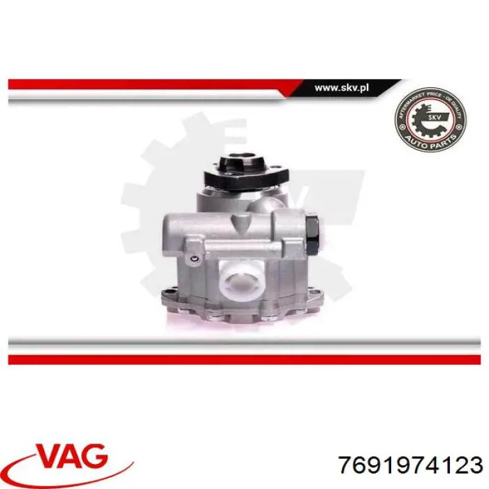 Насос гидроусилителя руля VAG 7691974123