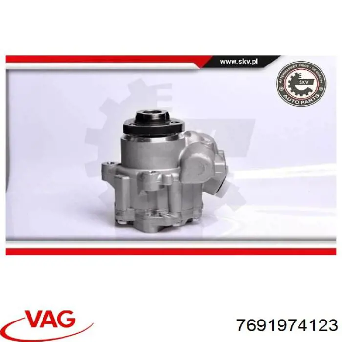 Насос ГУР 7691974123 VAG