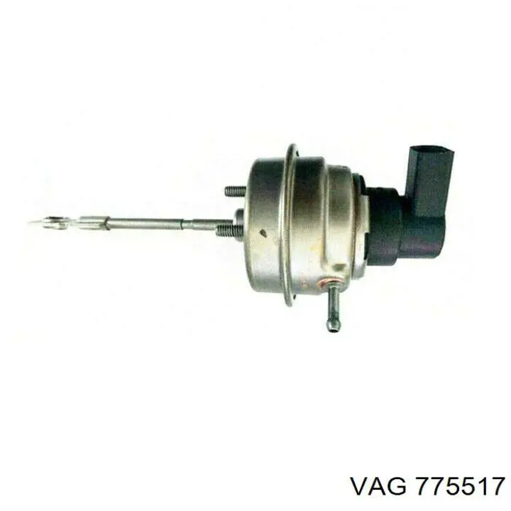 775517 VAG 
