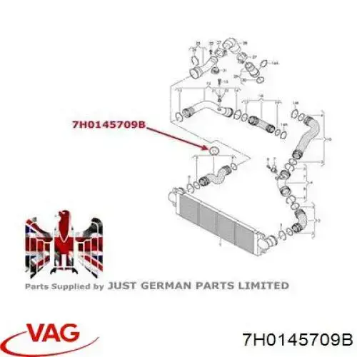 Шланг/патрубок интеркуллера VAG 7H0145709B цена, от 47.77 USD