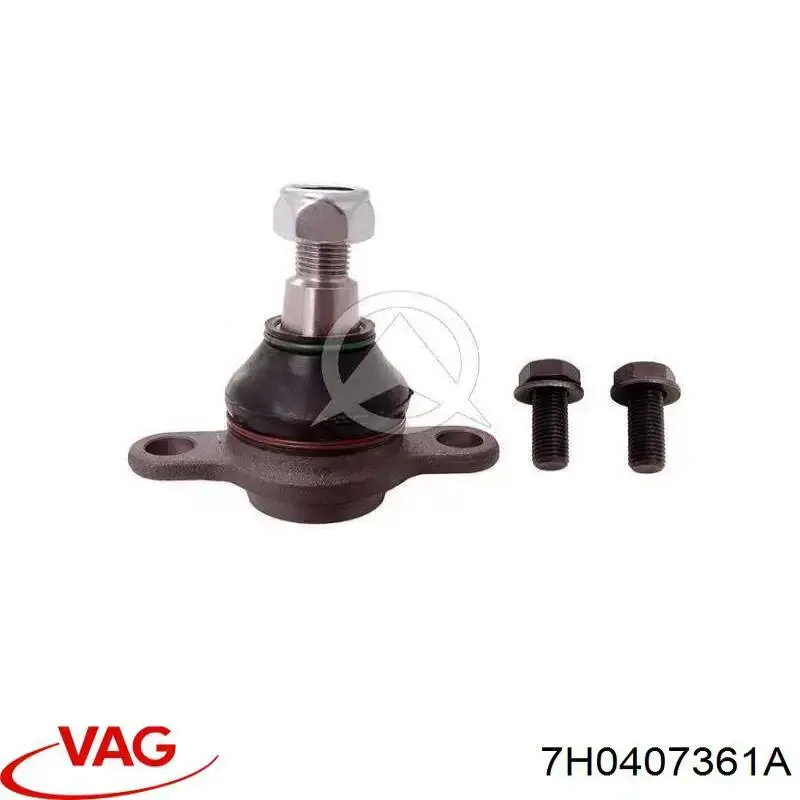 Нижняя шаровая опора VAG 7H0407361A