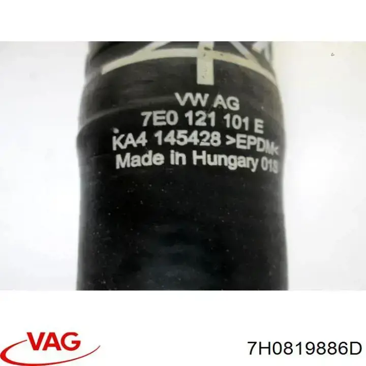  7H0819886A VAG