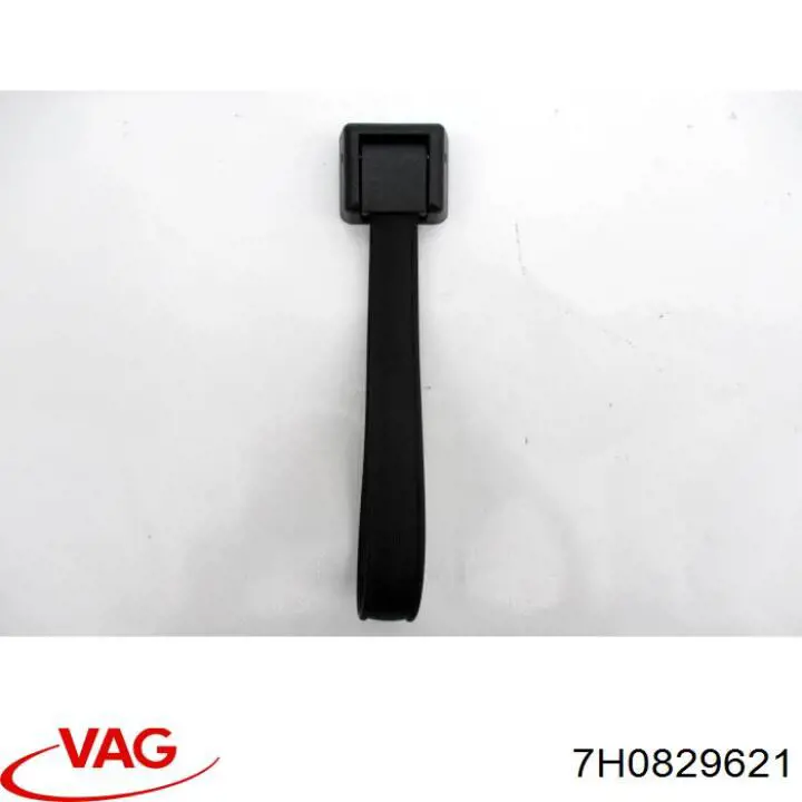  7H0829621 VAG