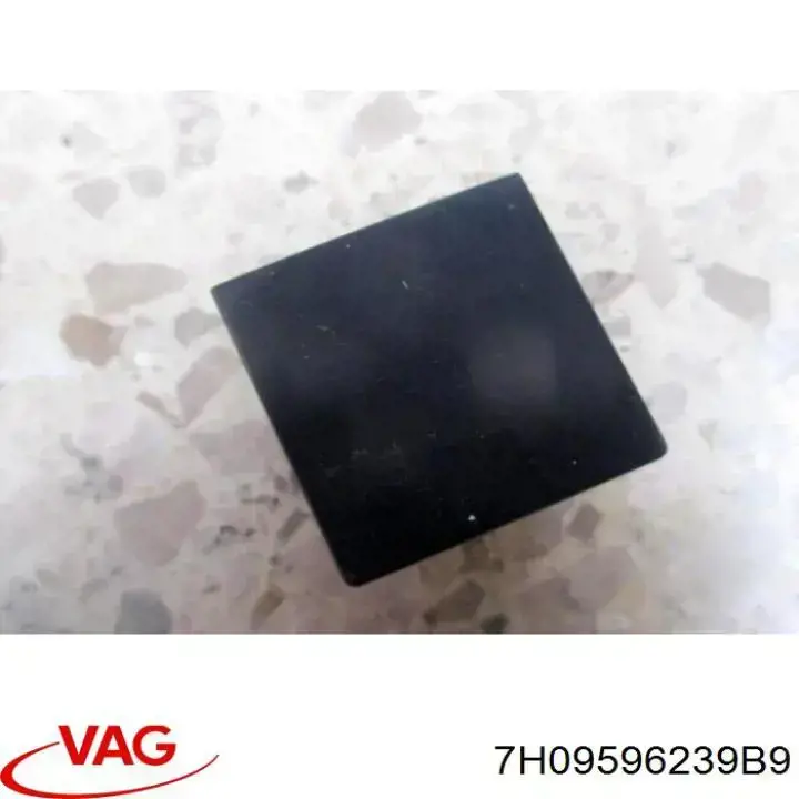  VAG 7H09596239B9