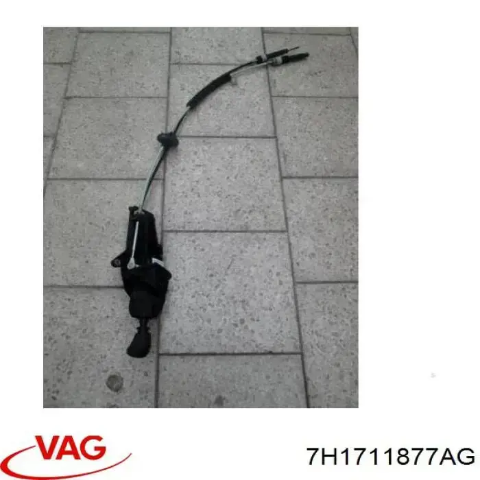Трос КПП VAG 7H1711877AG цена, от 47.52 USD