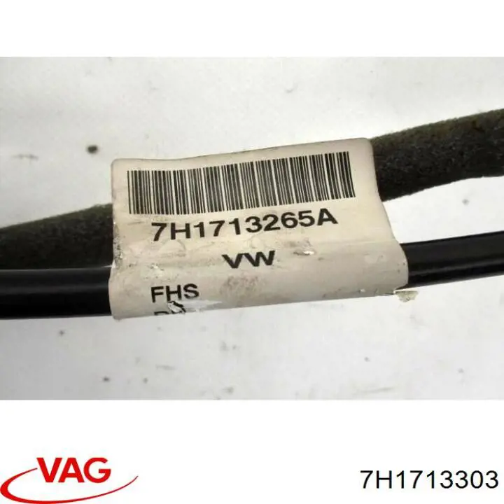  VAG 7H1713303