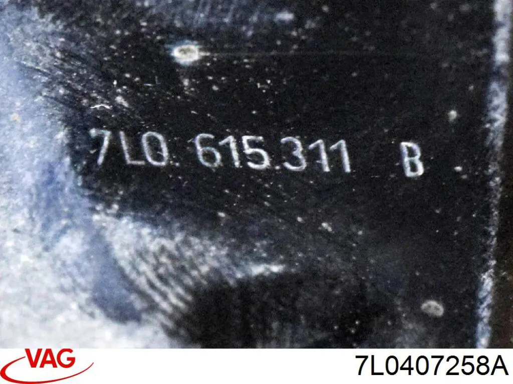 Цапфа передняя правая ZWV005P Polcar