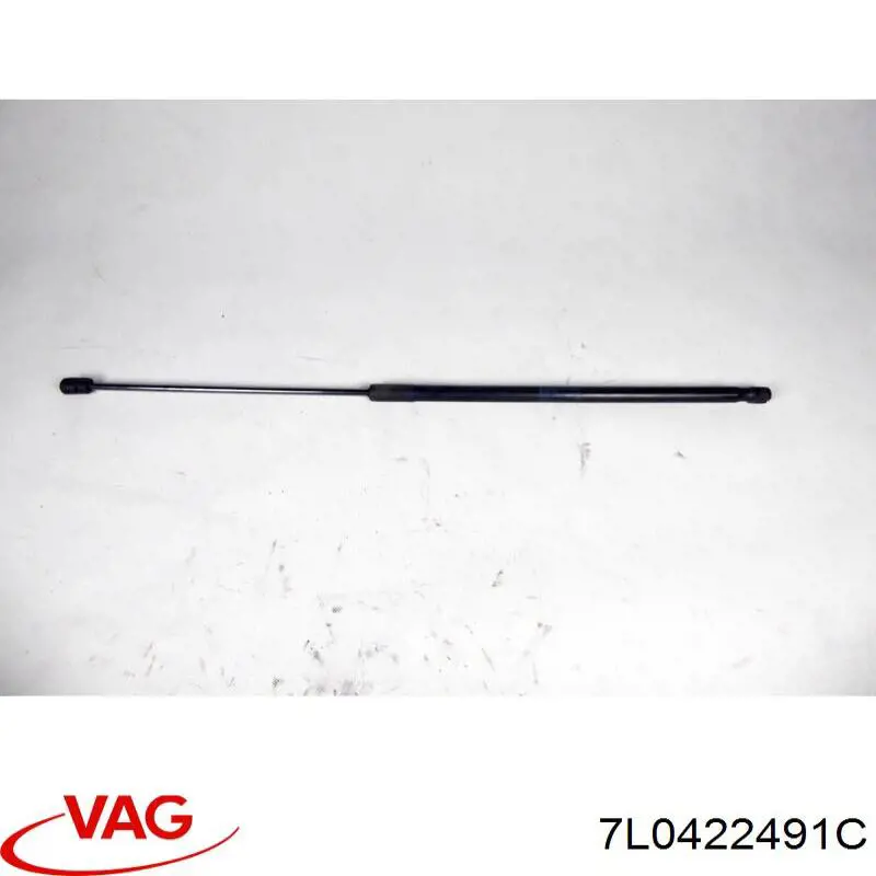  VAG 7L0422491C