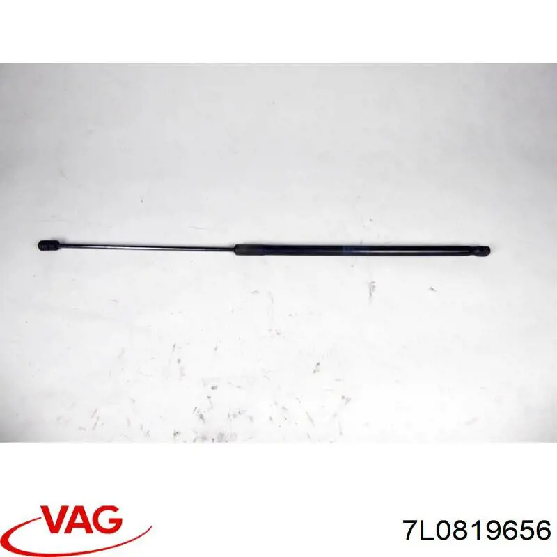  7L0819656 VAG