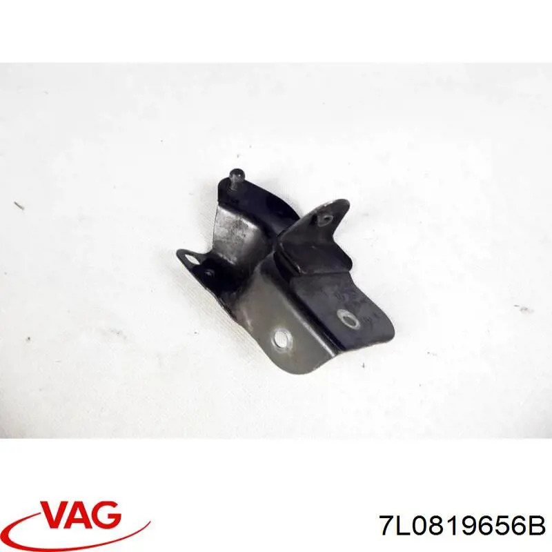  7L0819656B VAG