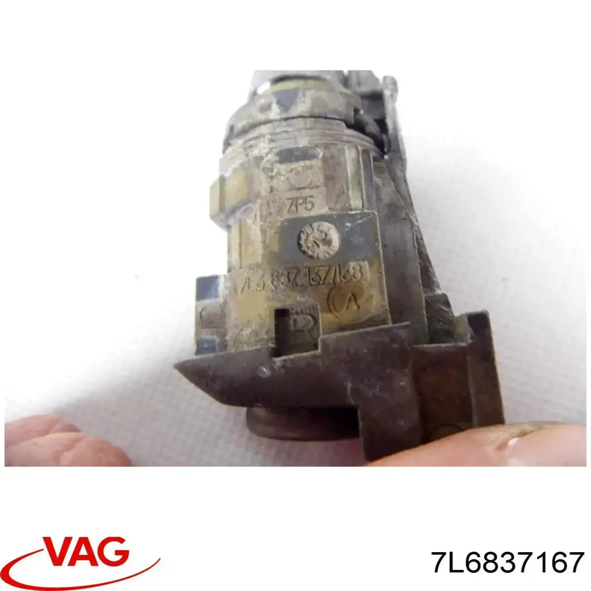 7L6837167 VAG 