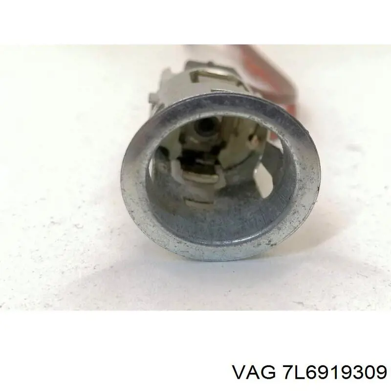 7L6919309 VAG 
