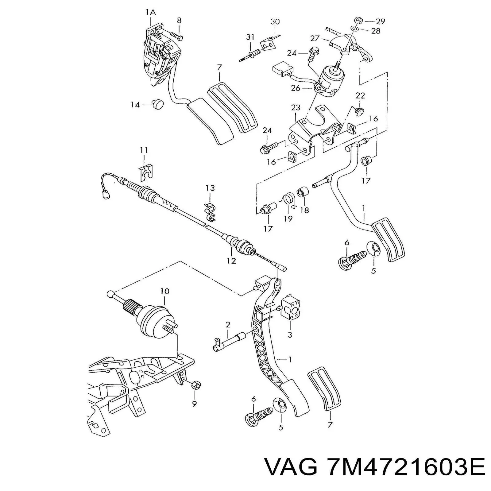 Педаль газа (акселератора) VAG 7M4721603E цена, от 44.34 USD
