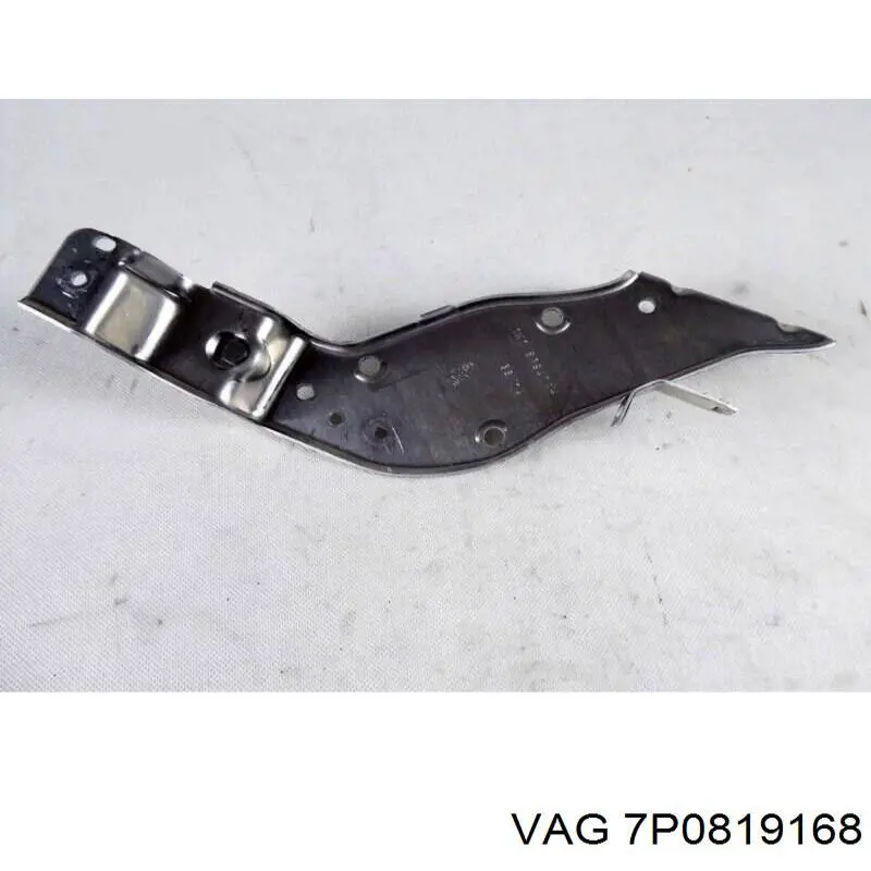  VAG 7P0819168