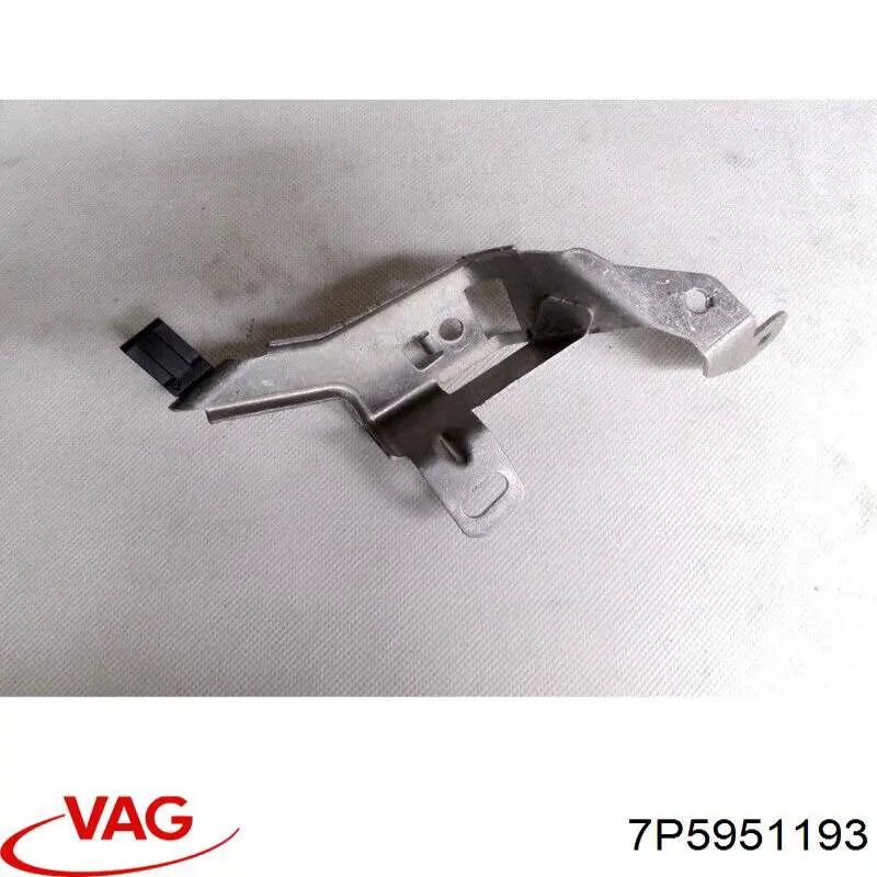 7P5951193 VAG 