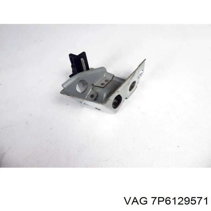  VAG 7P6129571