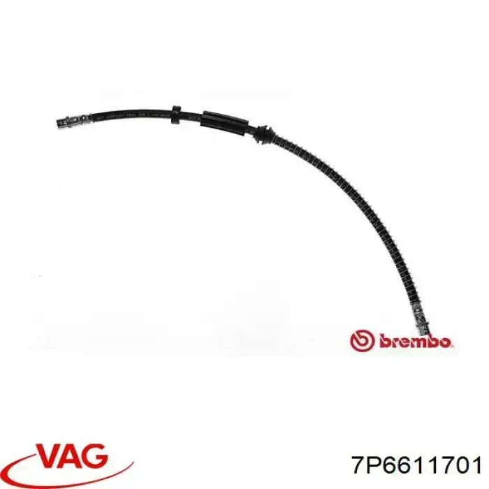 Шланг тормозной передний VAG 7P6611701