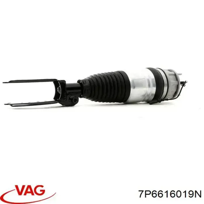 7P6616019N VAG