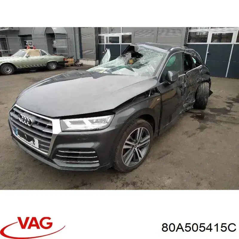 80A505415C VAG Защита заднего нижнего рычага