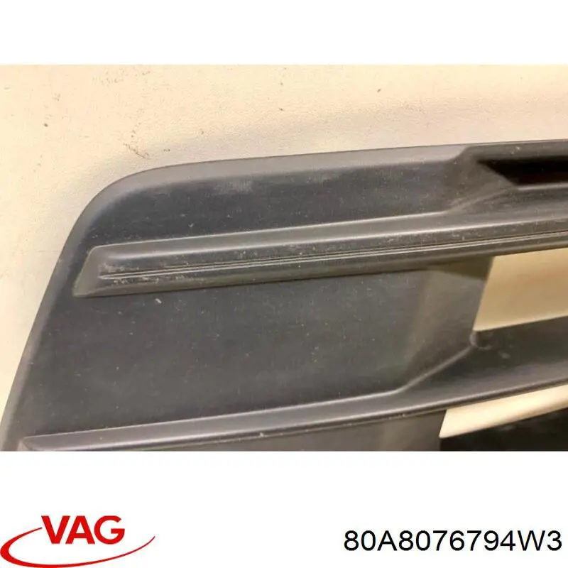 80A8076794W3 VAG 
