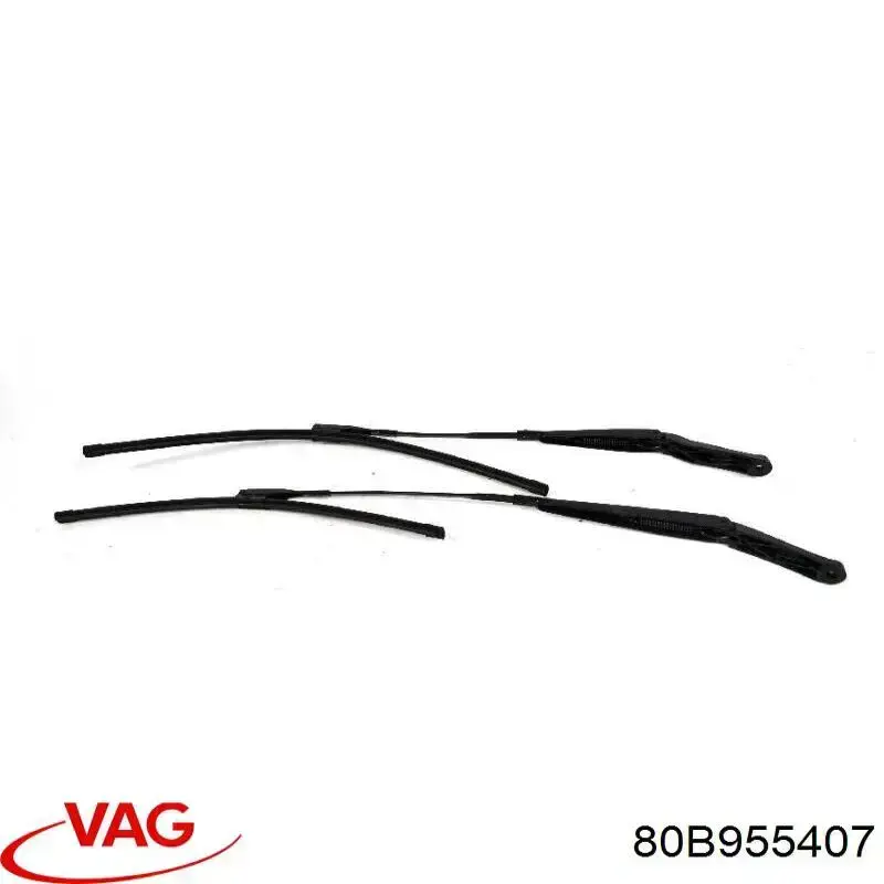 80B955407 VAG 