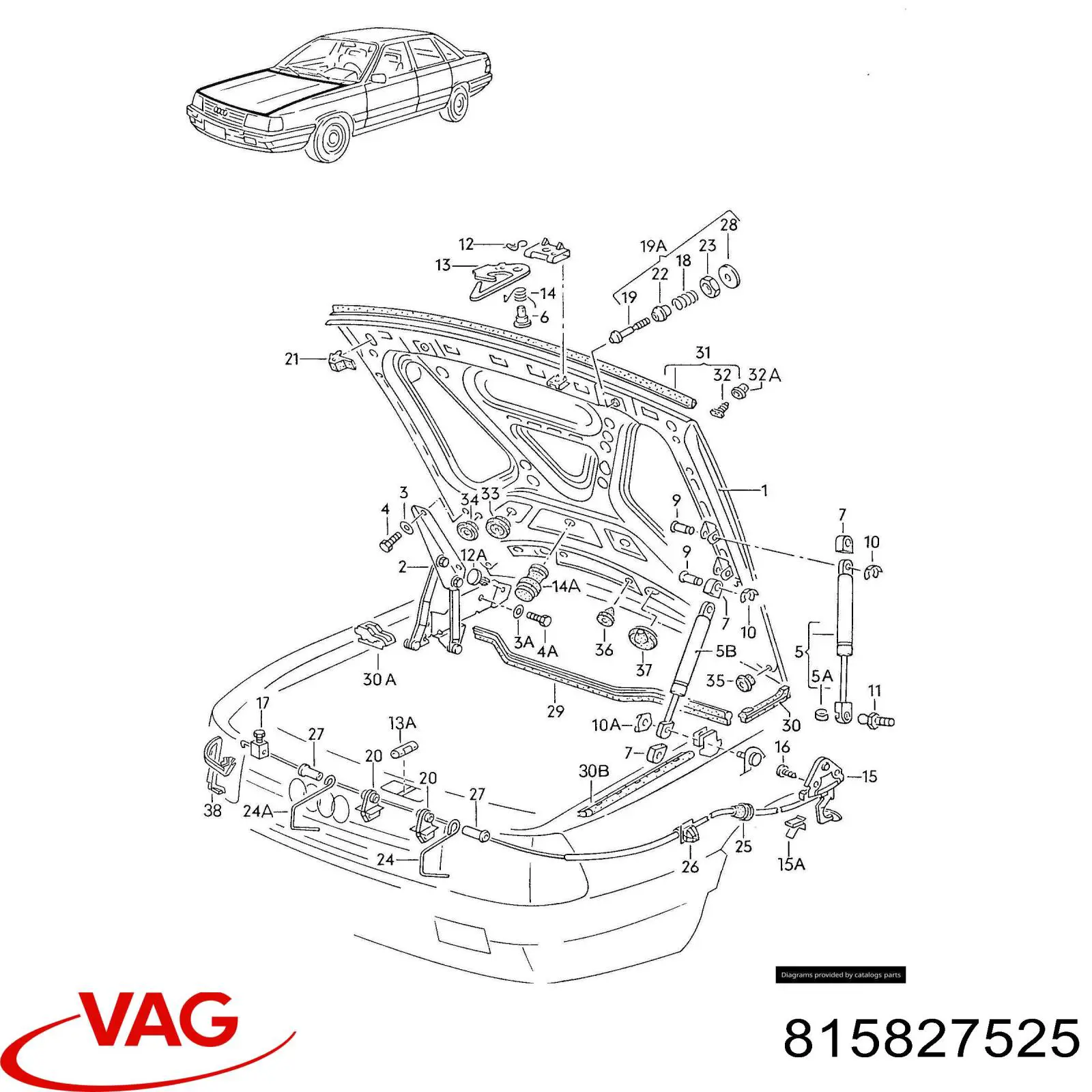 815827525 VAG 