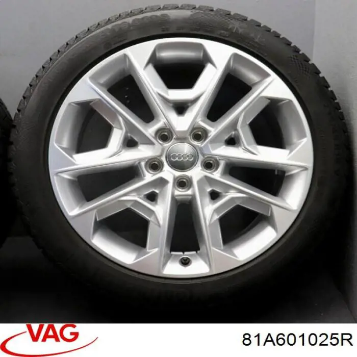 81A601025R VAG Оригинальные диски