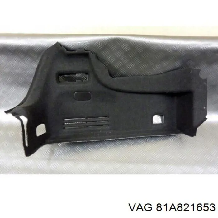  VAG 81A821653A