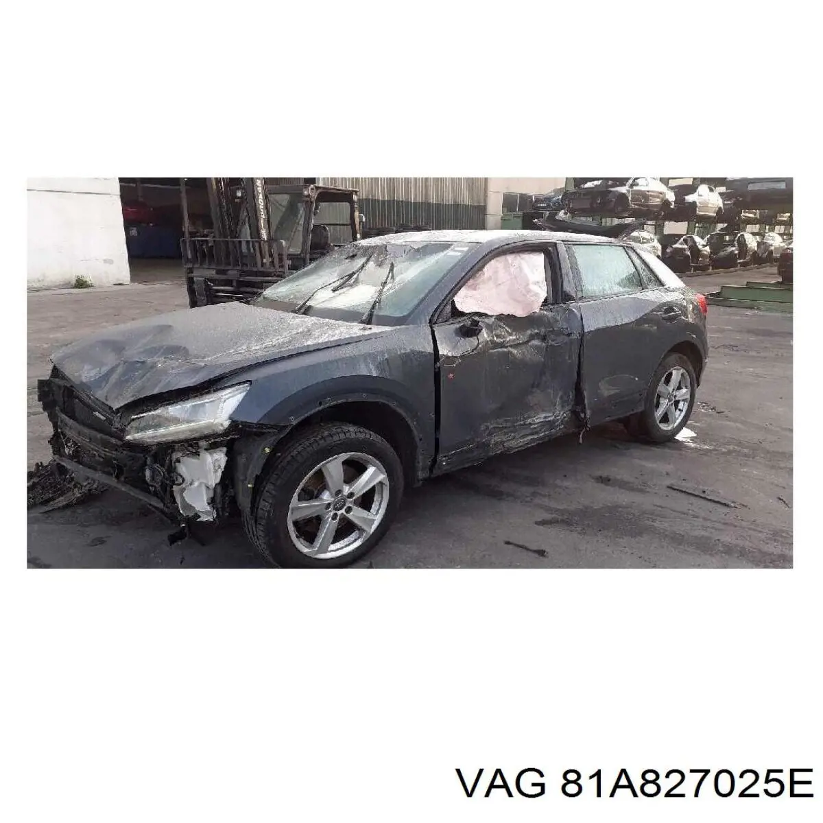 Купить 81A827025E VAG Дверь задняя багажная