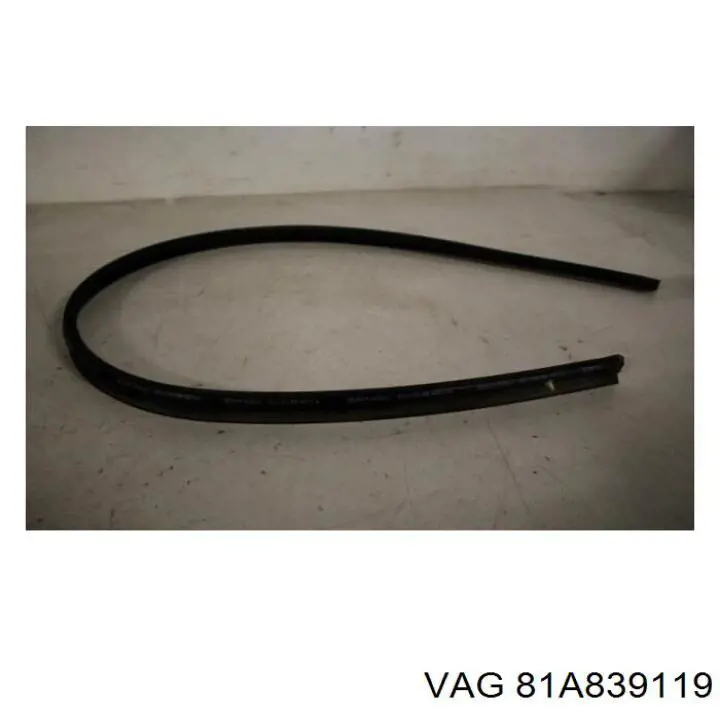 81A839119 VAG 