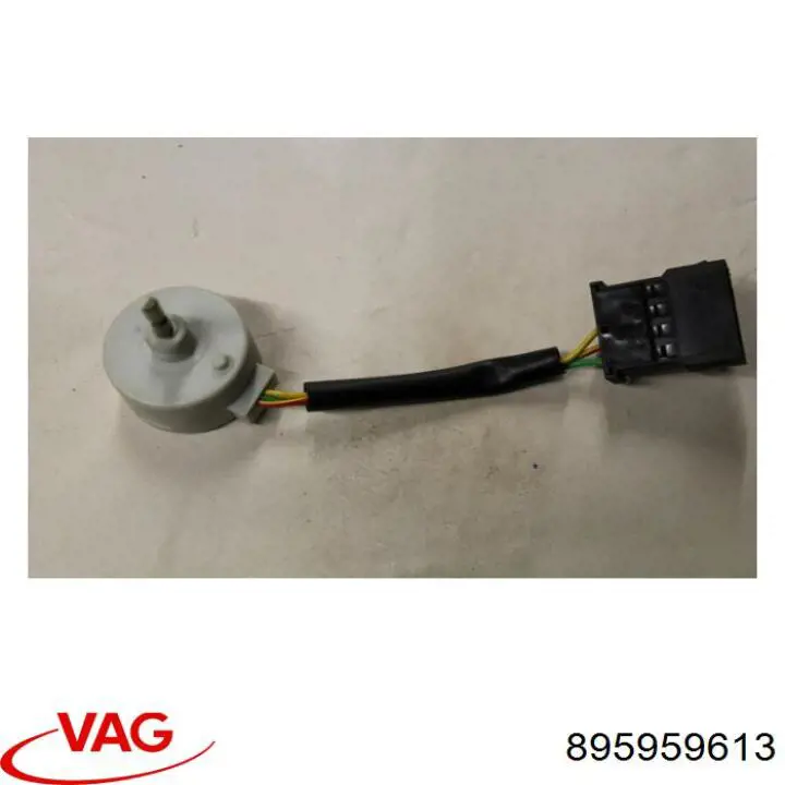 895959613 VAG 