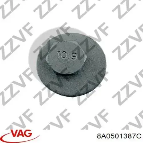 Купить 8A0501387C VAG Болт крепления заднего развального рычага, наружный