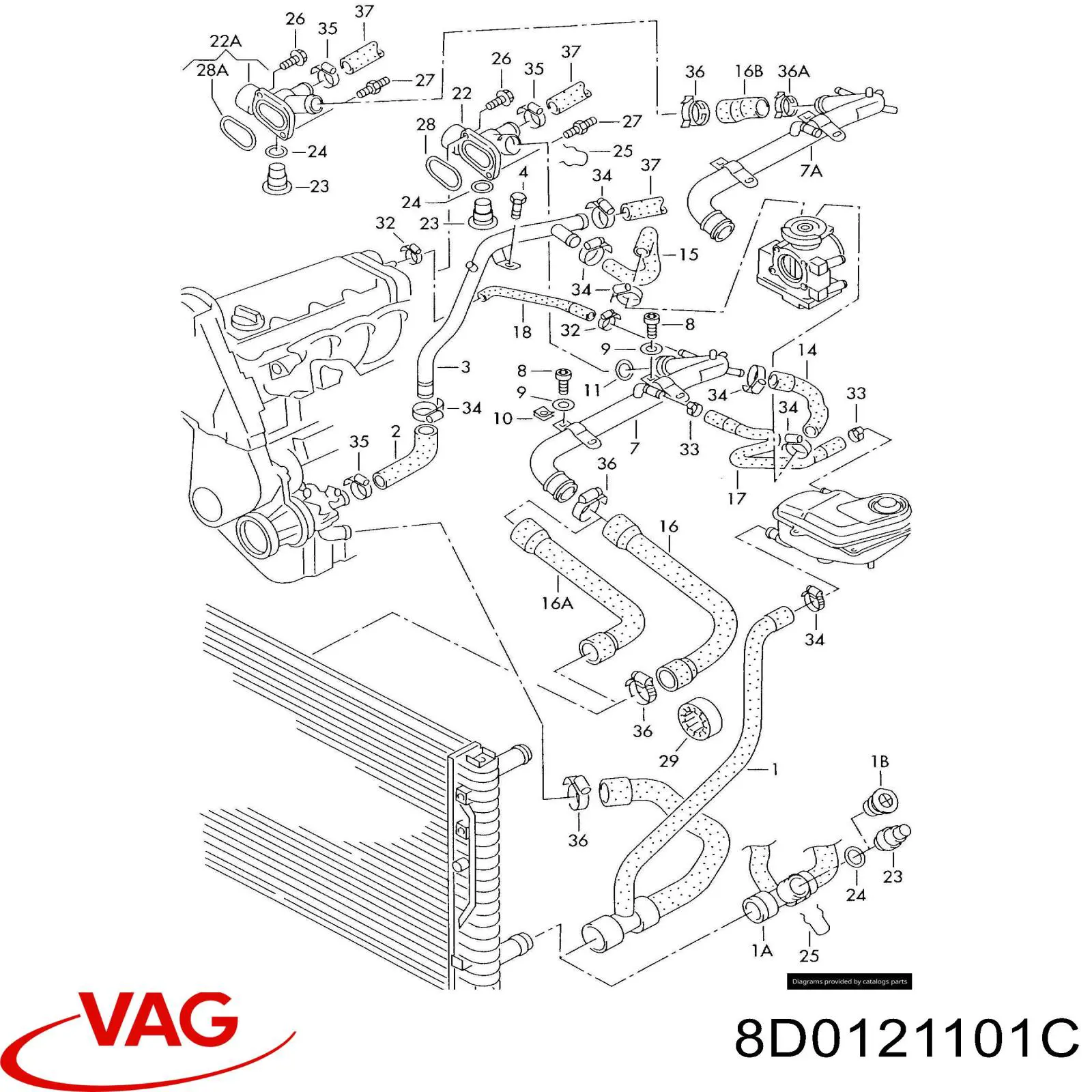 Купить 8D0121101C VAG Патрубок радиатора