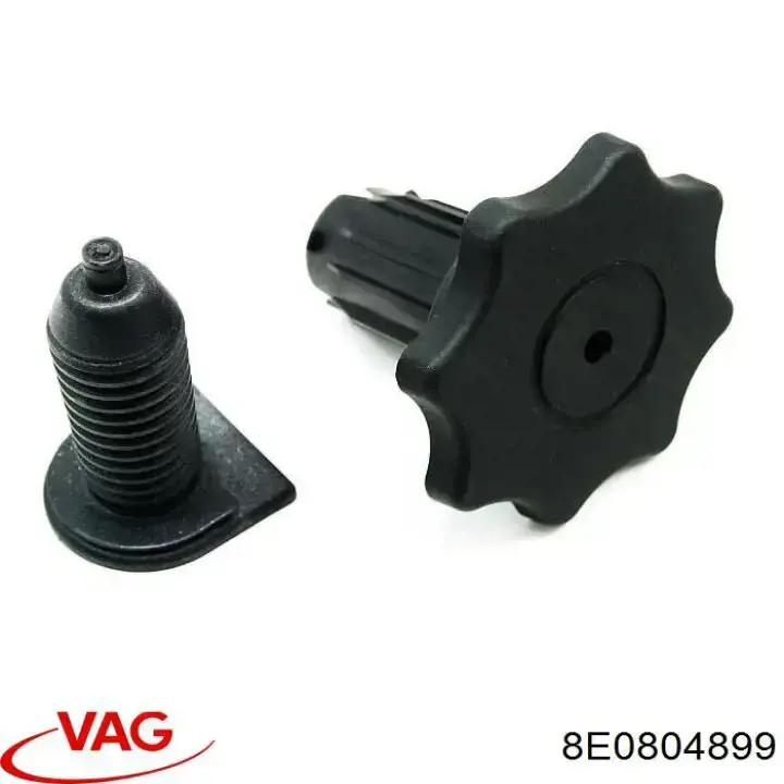  8E0804899 VAG