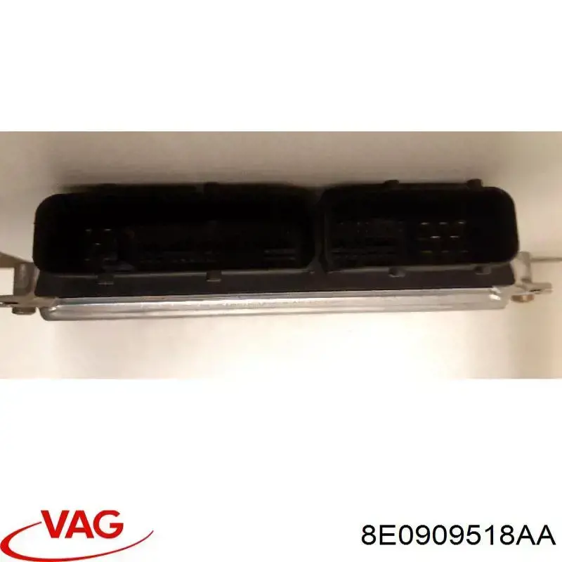 8E0909518AA VAG Мозги двигателя