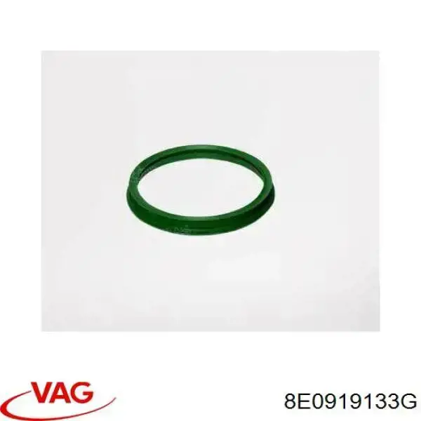 8E0919133G VAG прокладка датчика уровня топлива /топливного насоса (топливный бак)