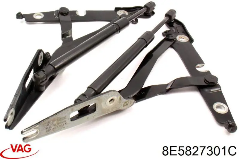 Купить 8E5827301B VAG Завеса крышки багажника