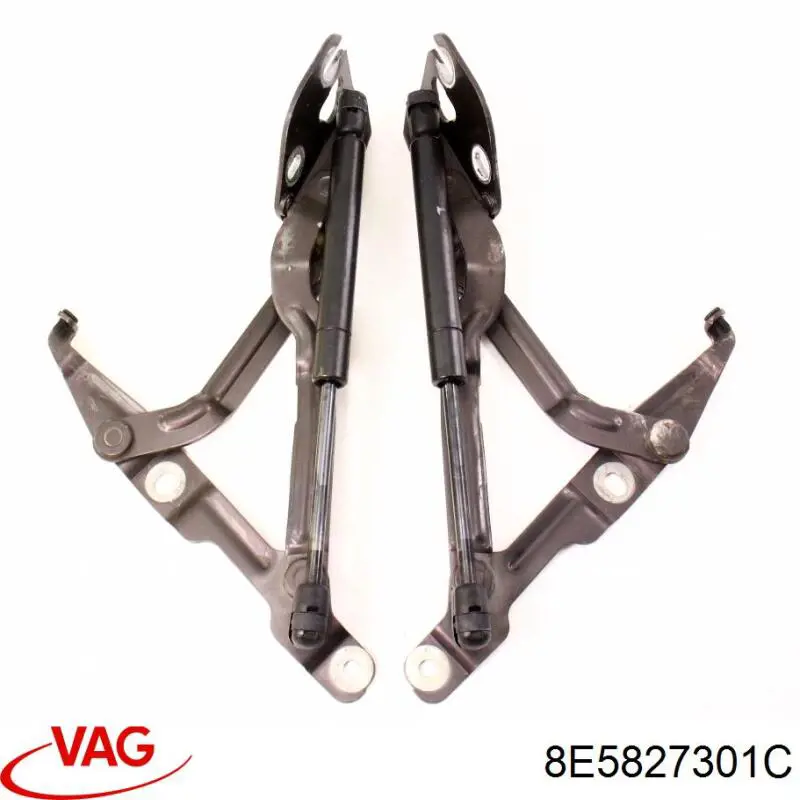 Петля крышки багажника 8E5827301B VAG