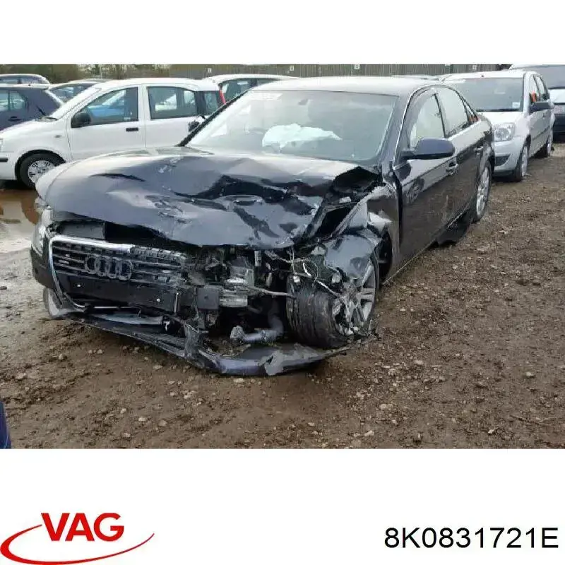  VAG 8K0831721E